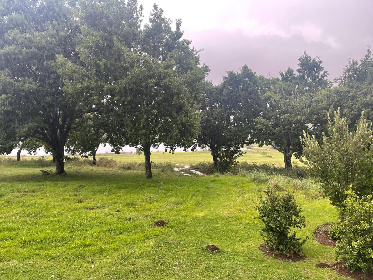 Walkersons Trout And Nature Haven Dullstroom Exterior photo